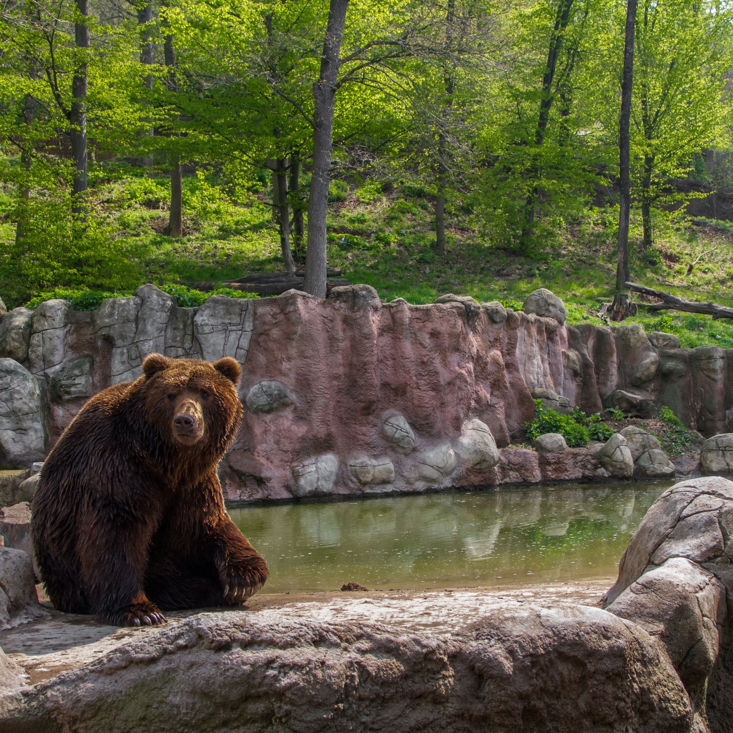 bear mountain state park zoo 06