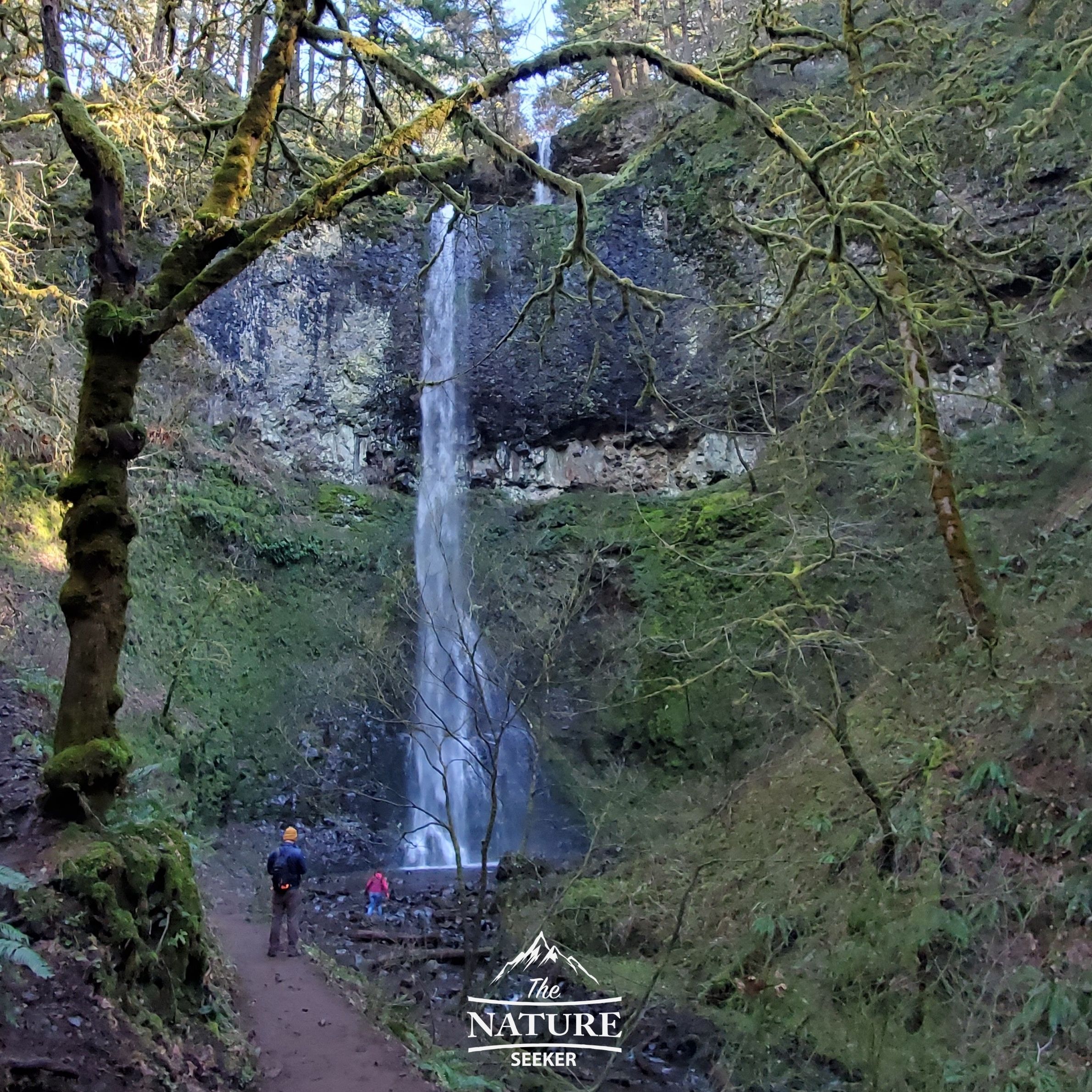 double falls oregon 08