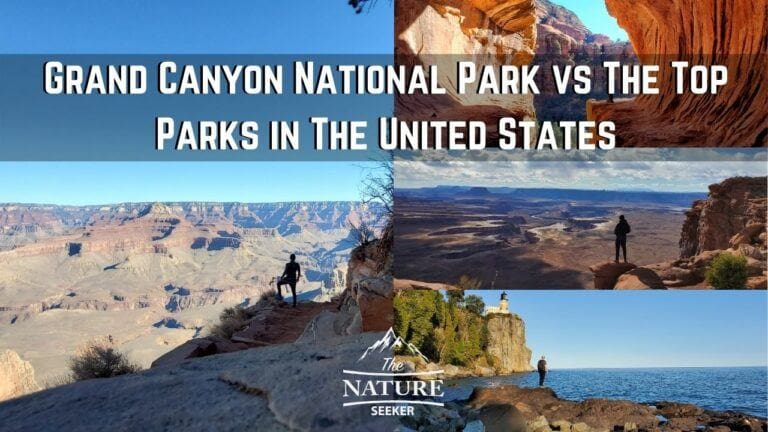 Grand Canyon National Park vs The Top Parks in The US