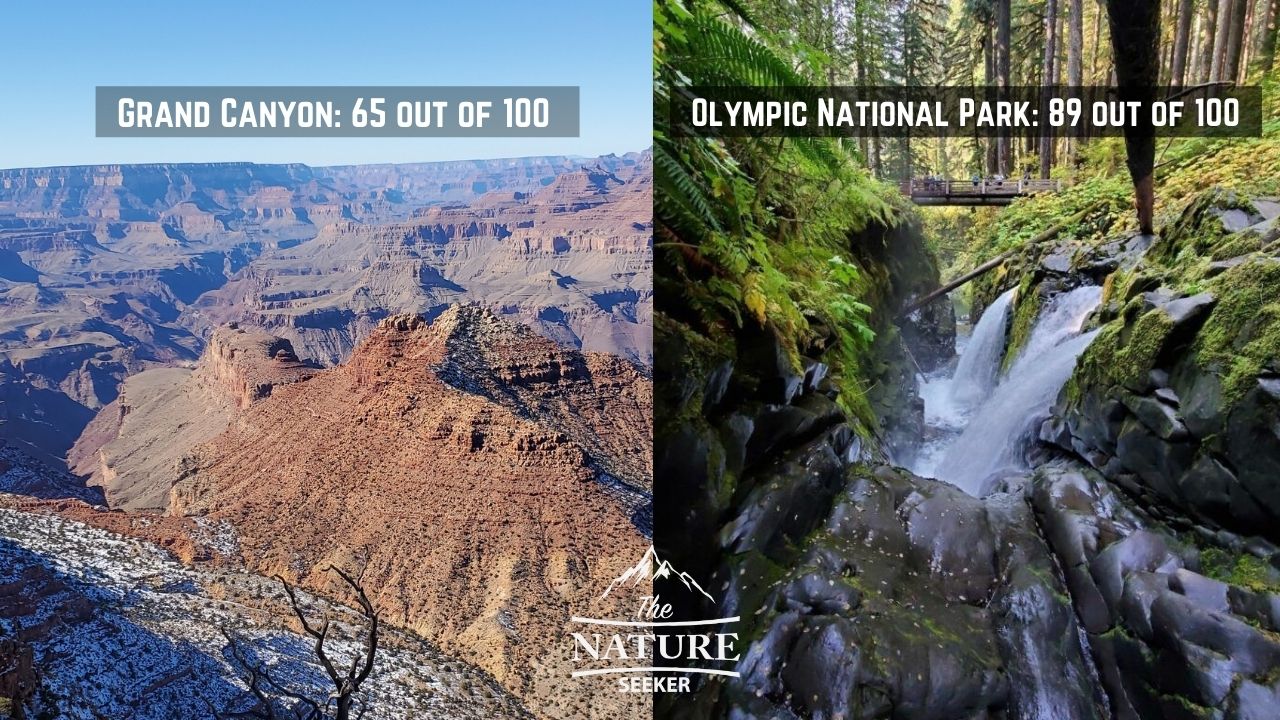 grand canyon vs olympic national park 07