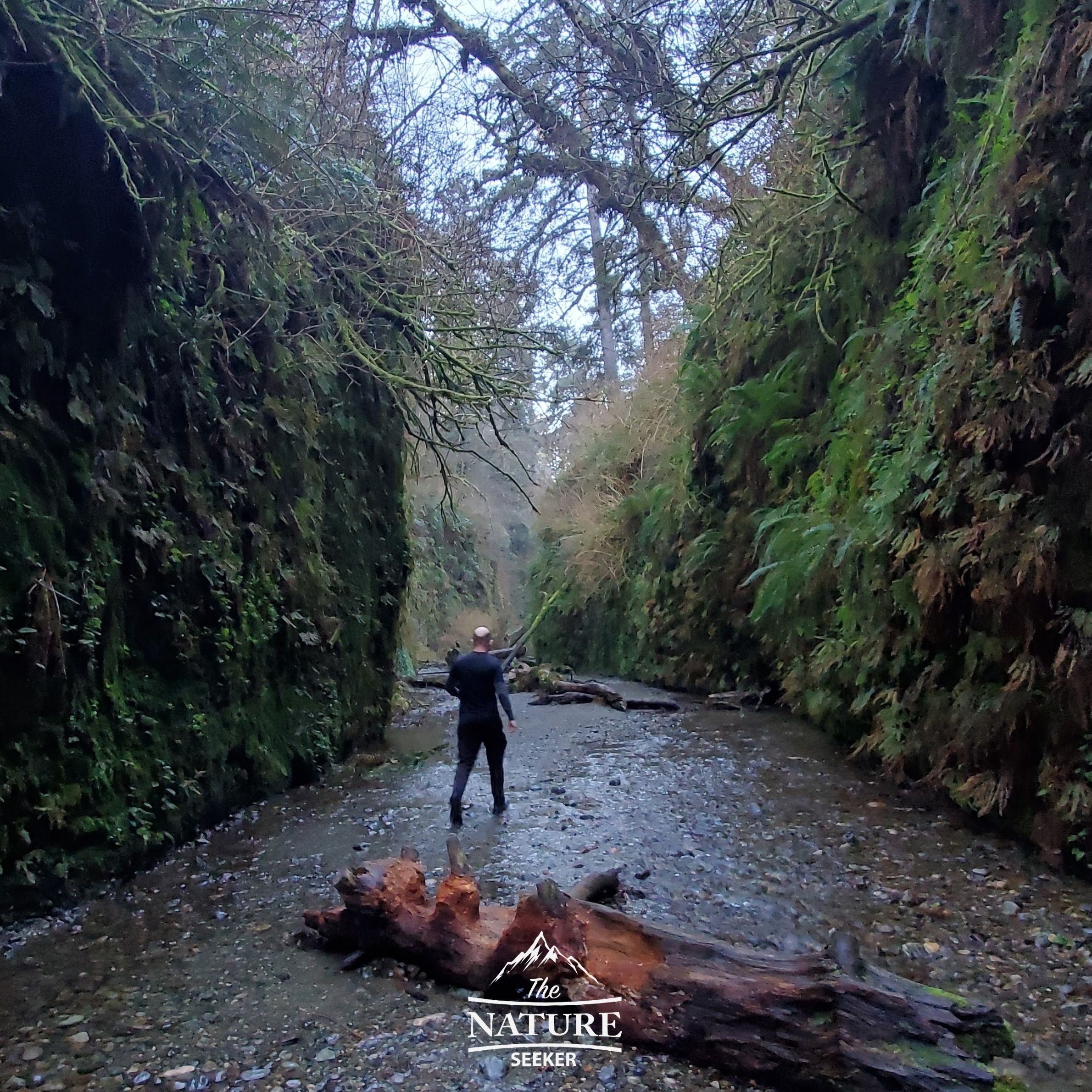 hiking to fern canyon 01