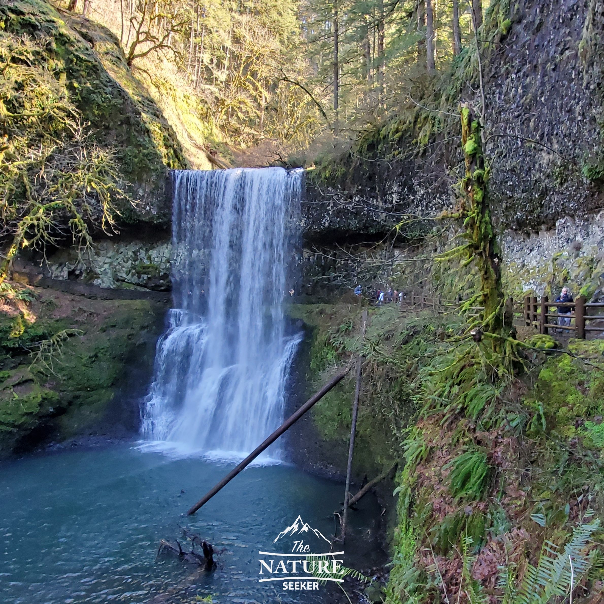 lower south falls oregon 09