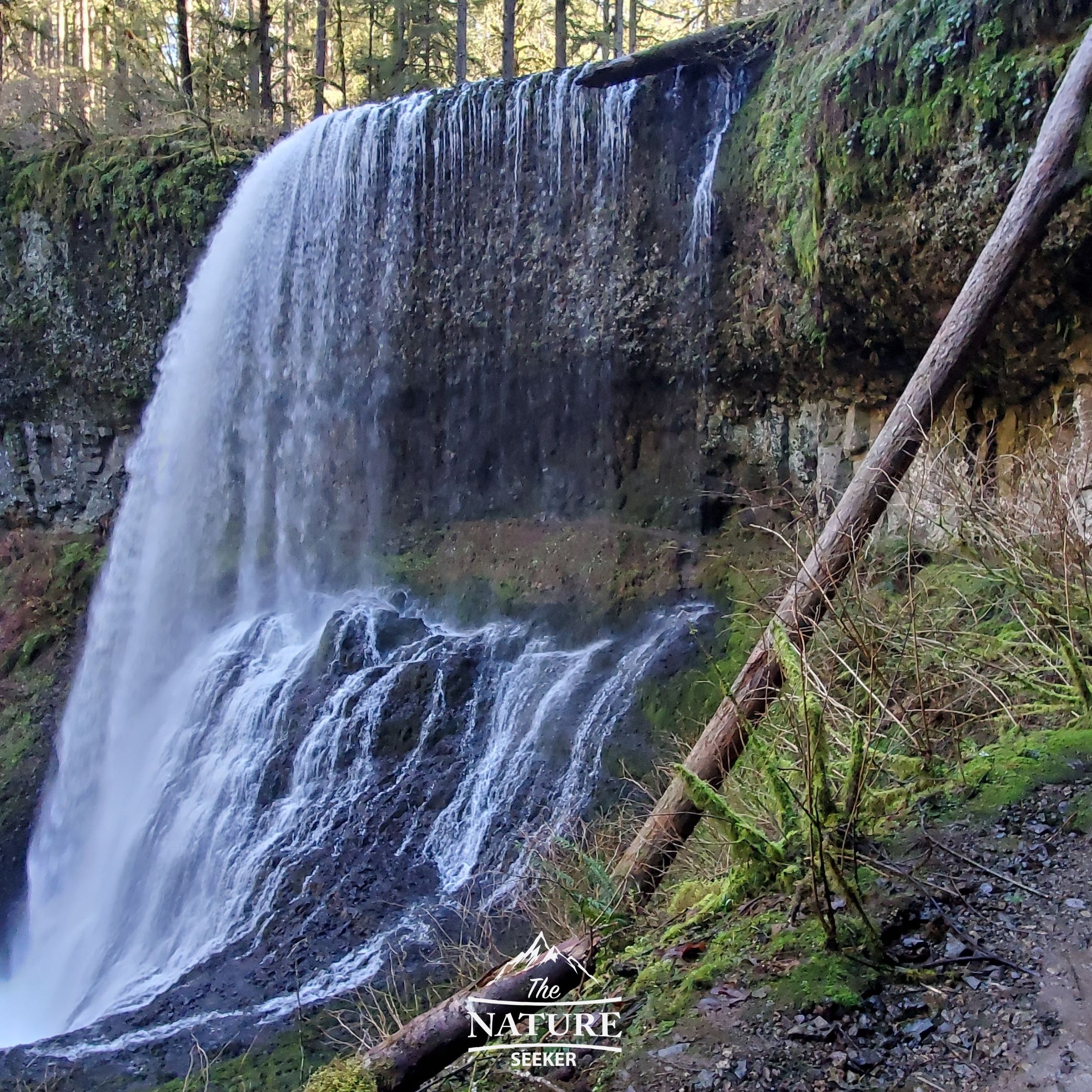 middle north falls oregon 03