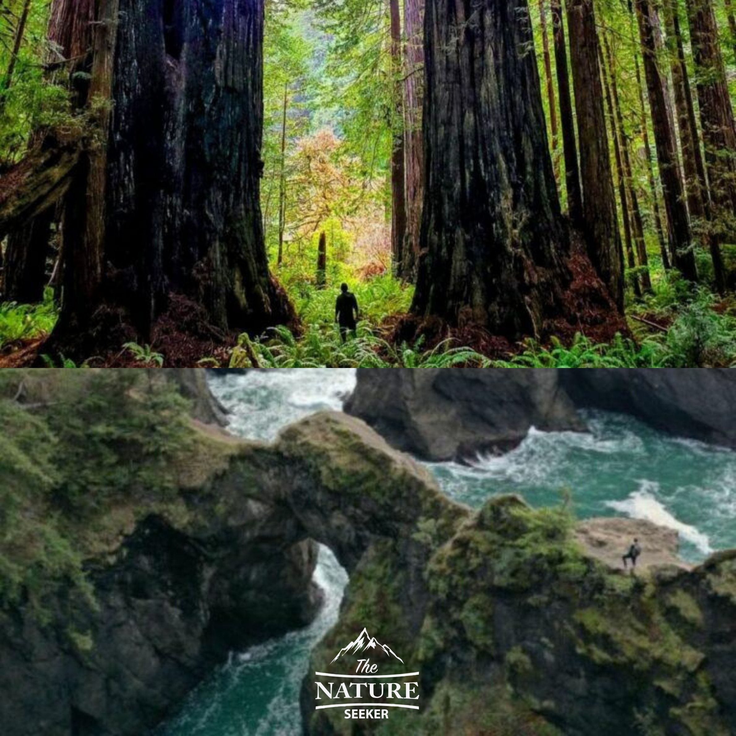 places to see near fern canyon