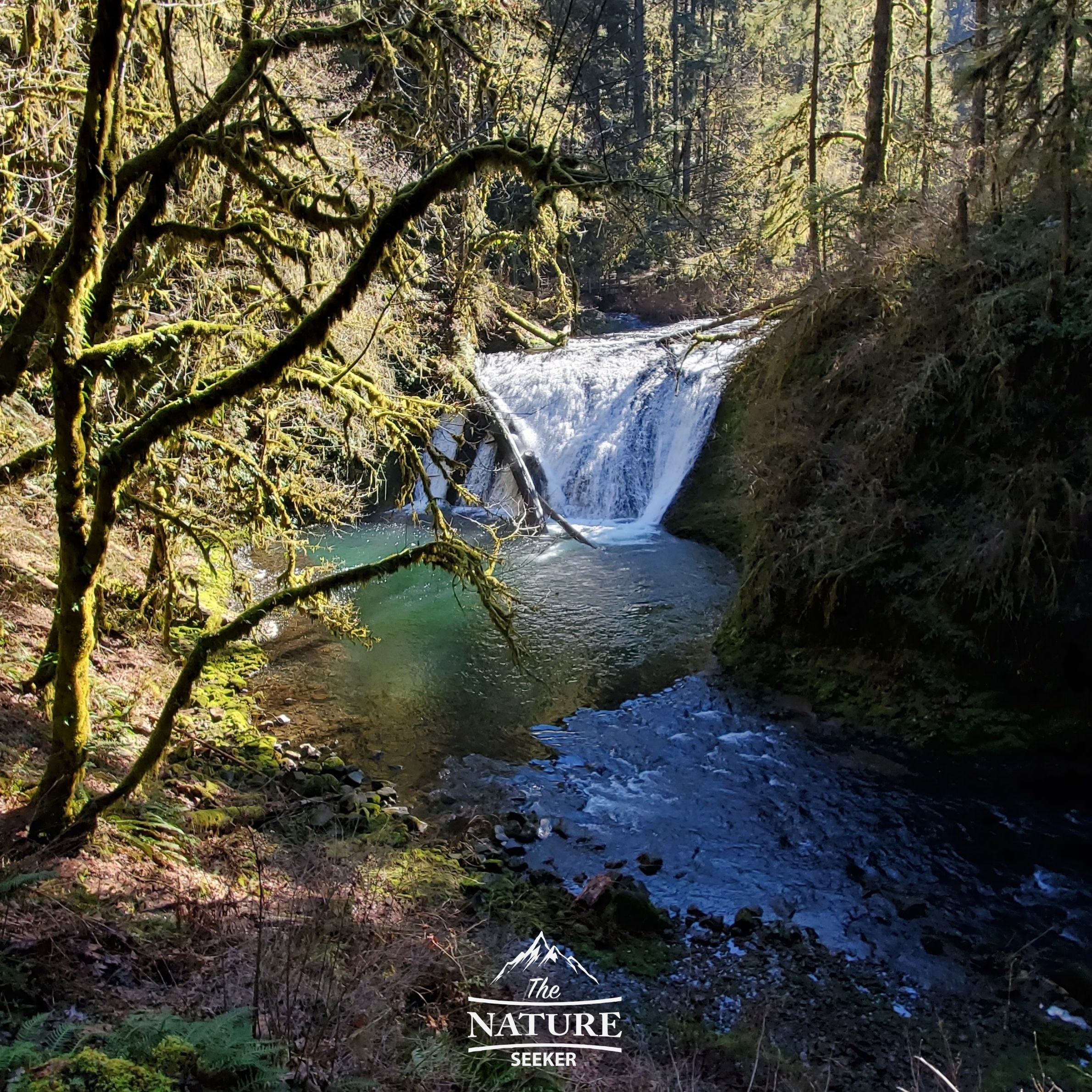 the lower north falls oregon 06