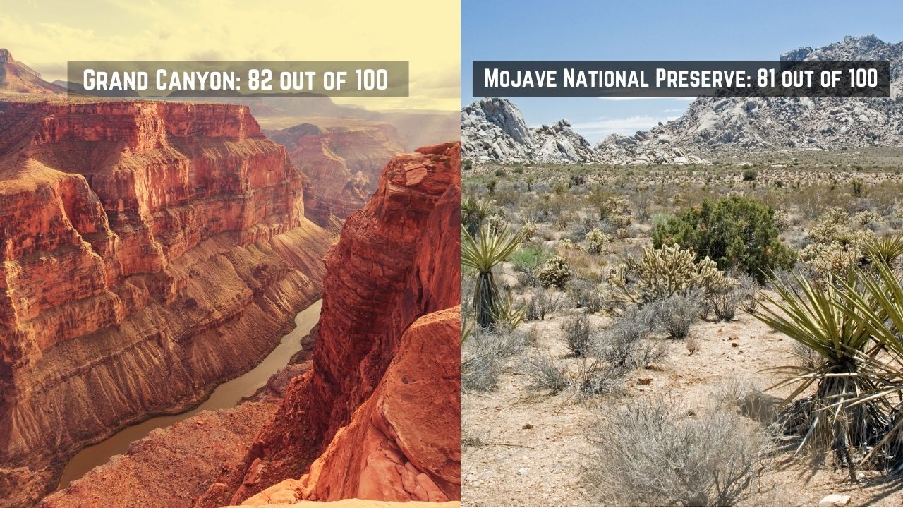 the mojave desert national preserve vs grand canyon 02
