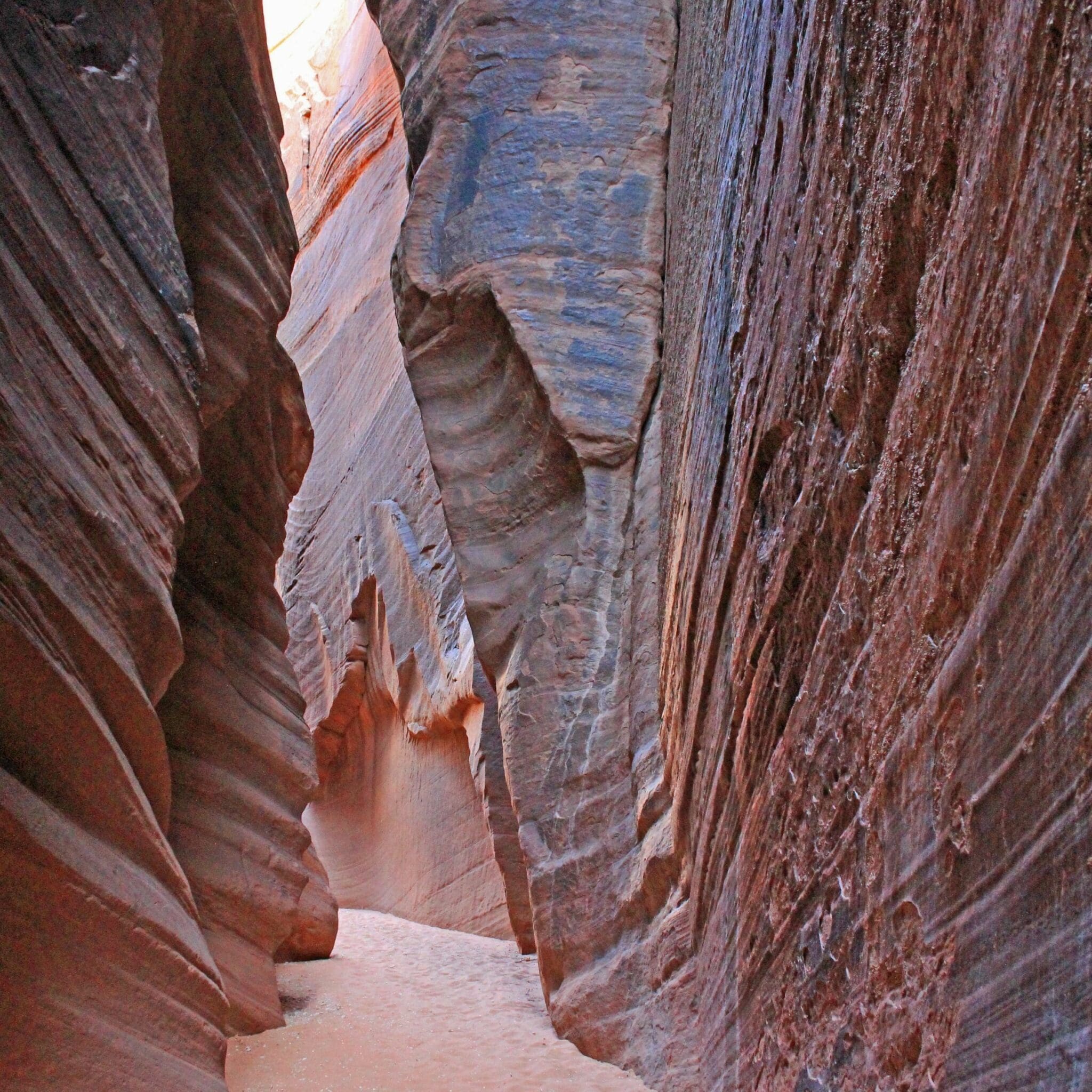 The Best Vermilion Cliffs National Monument Hiking Trails