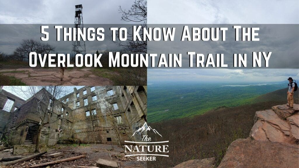 5 Things to Know About The Overlook Mountain Trail in NY