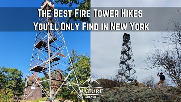 15 Best Fire Tower Hikes to Explore in New York State