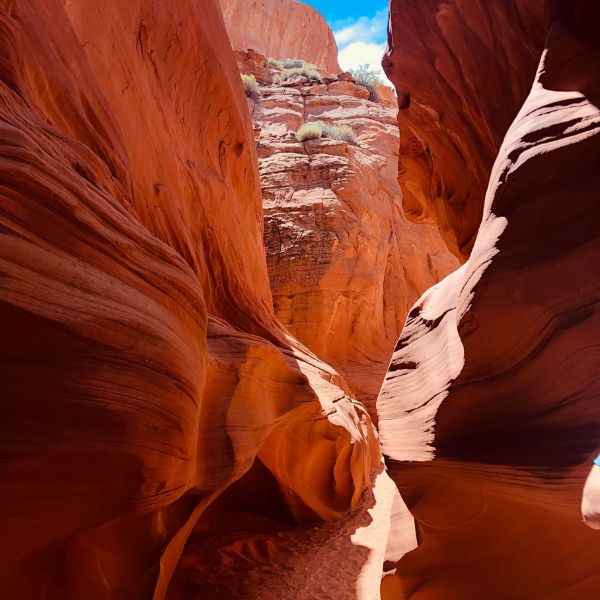 red canyon hike alternative to wave