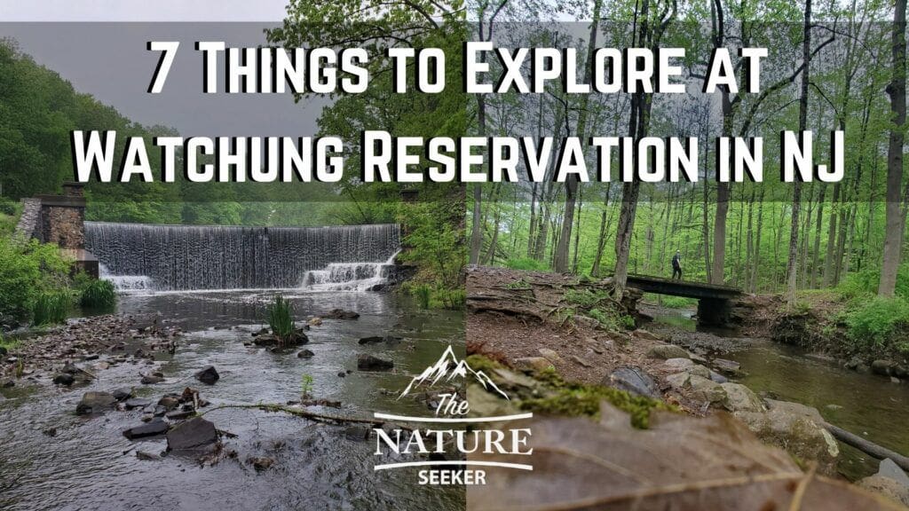 things to do at watchung reservation