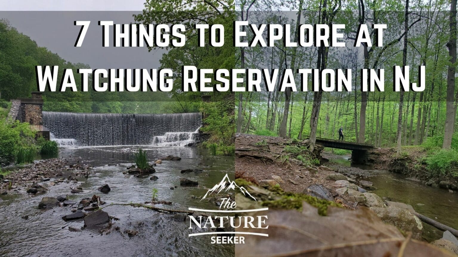 7 Things to Explore at Watchung Reservation NJ