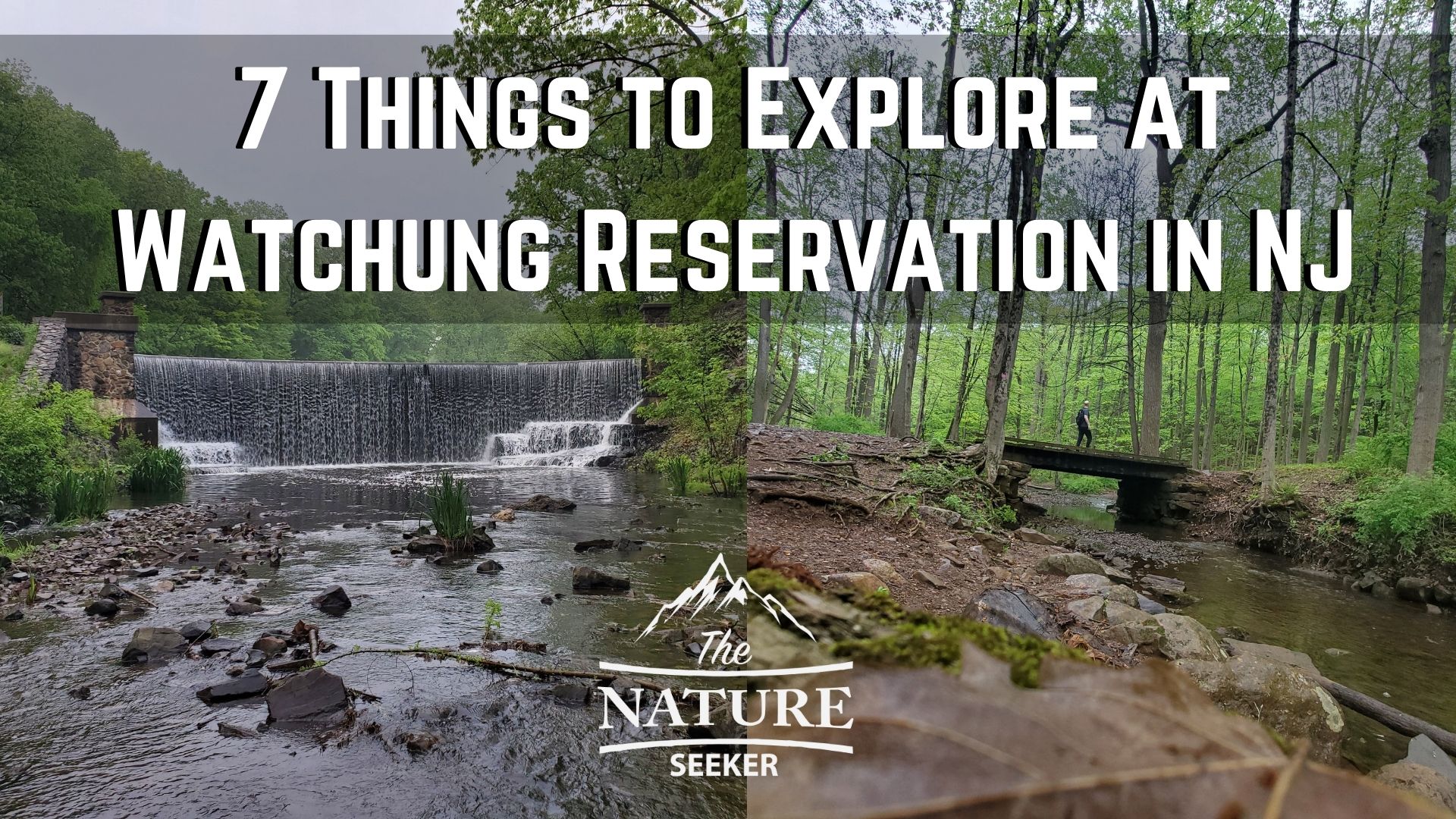 things to do at watchung reservation