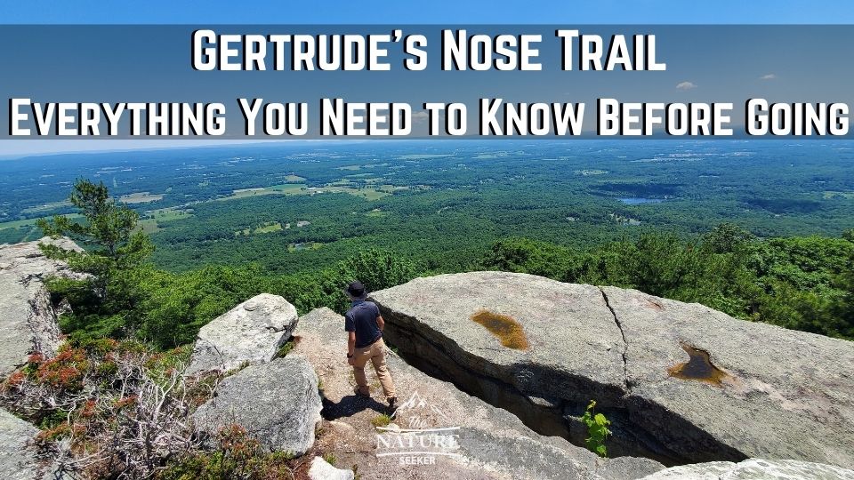 gertrudes nose trail hike minnewaska park