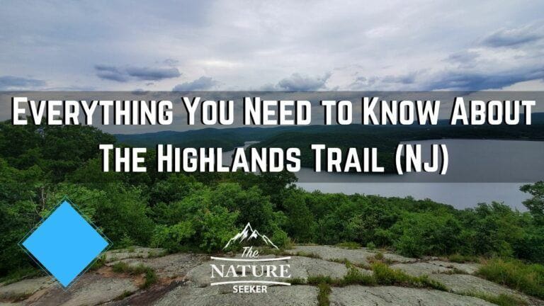 Everything You Need to Know About The Highlands Trail in NJ