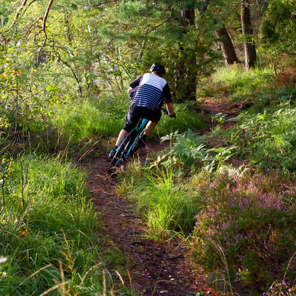 mountain biking at lake minnewaska state park 04