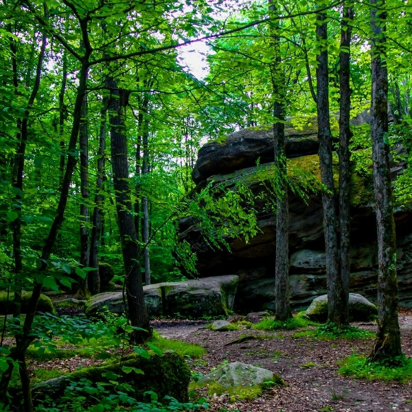 Allegany state park in new york new photo 01