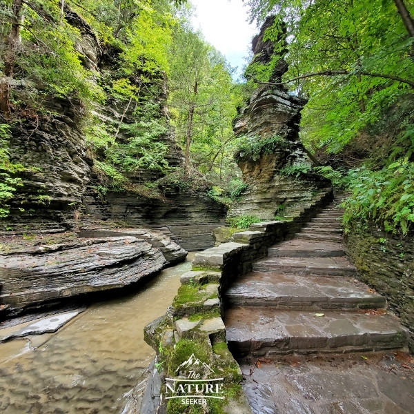 buttermilk falls state park in new york new 03