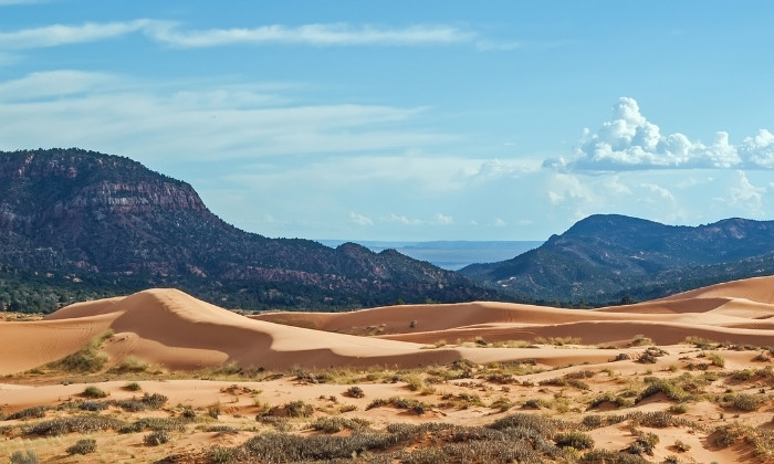 coral pink sand dunes state park utah 01