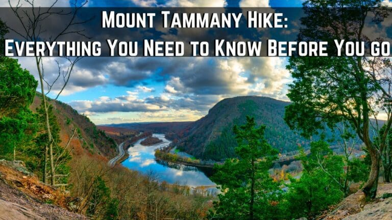 Mount Tammany Hike – 5 Things to Know Before You go