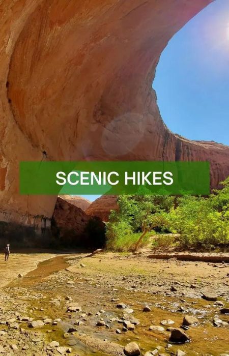 scenic hikes from the nature seeker new