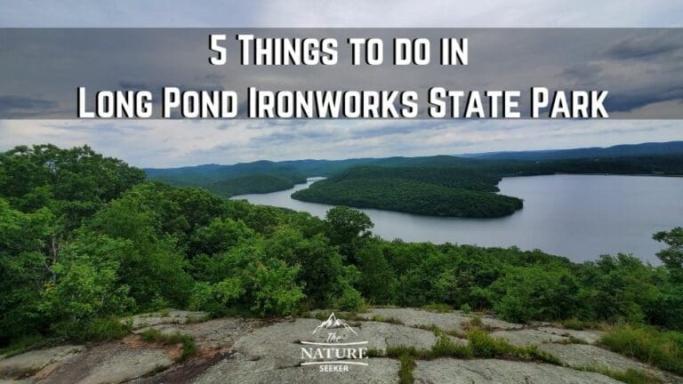 5 Things to do in Long Pond Ironworks State Park