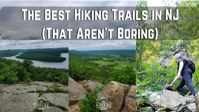 14 Best Hikes in NJ That Aren’t Boring