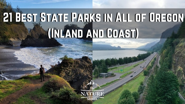 Best State Parks in Oregon: Top 21 Locations Revealed