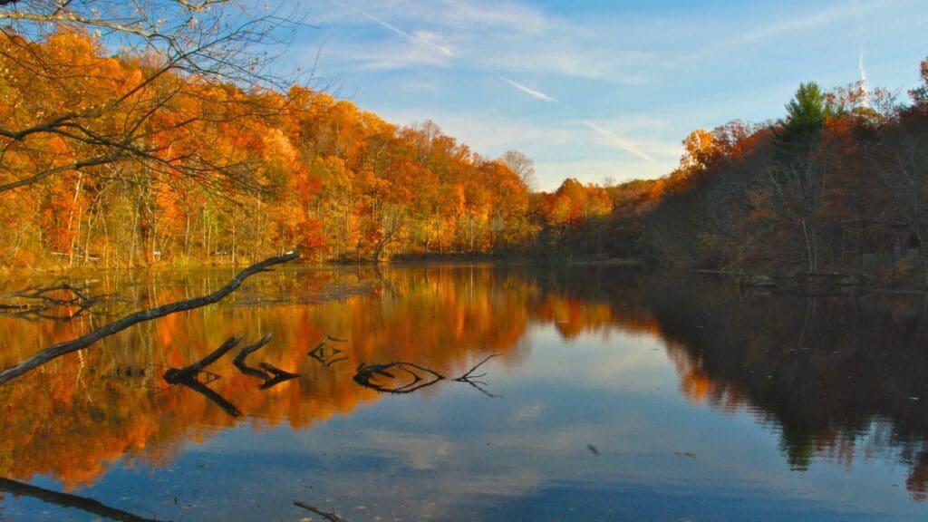 14 Best Hikes in NJ That Aren't Boring