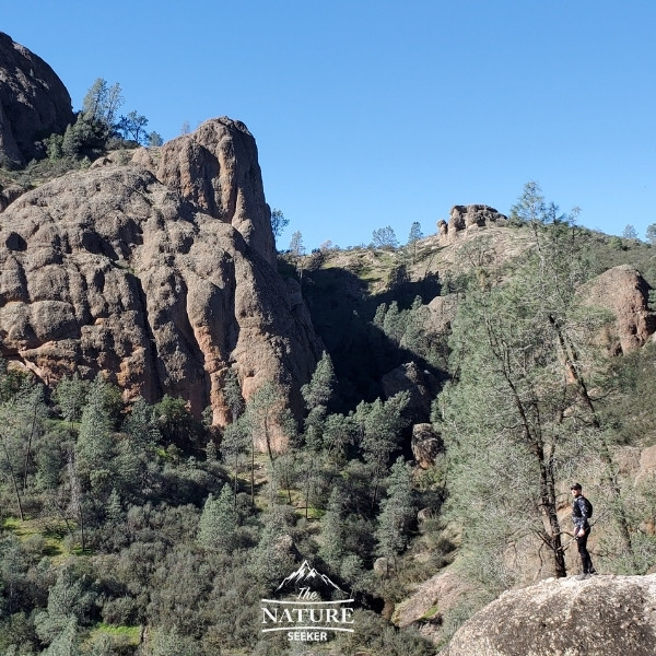 pinnacles national park hiking trails 03