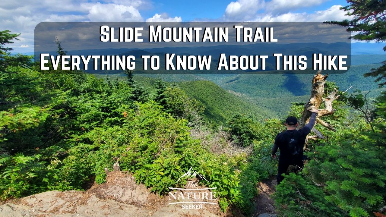 Slide Mountain Trail - 5 Things to Know About This Hike