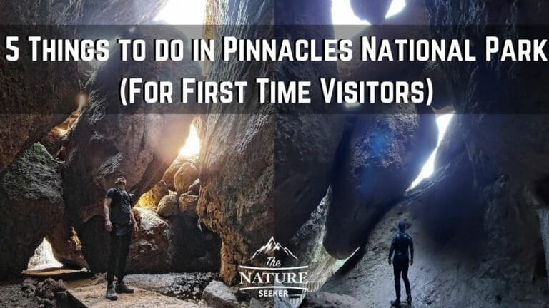 5 Things to do in Pinnacles National Park For Your First Visit