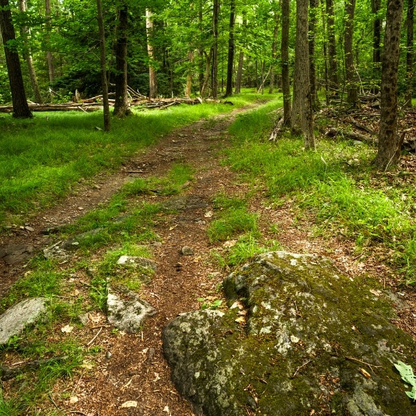 wawayanda state park best hiking trails in new jersey 02