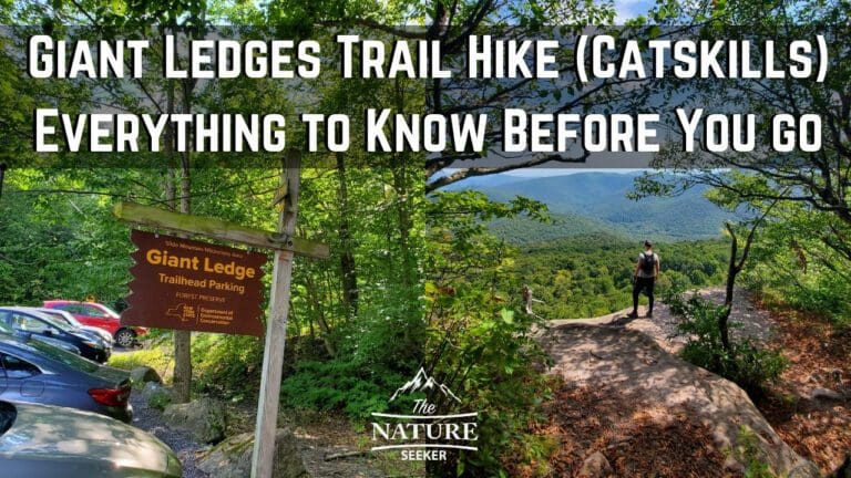 A Guide to The Giant Ledge Trail Hike in The Catskills