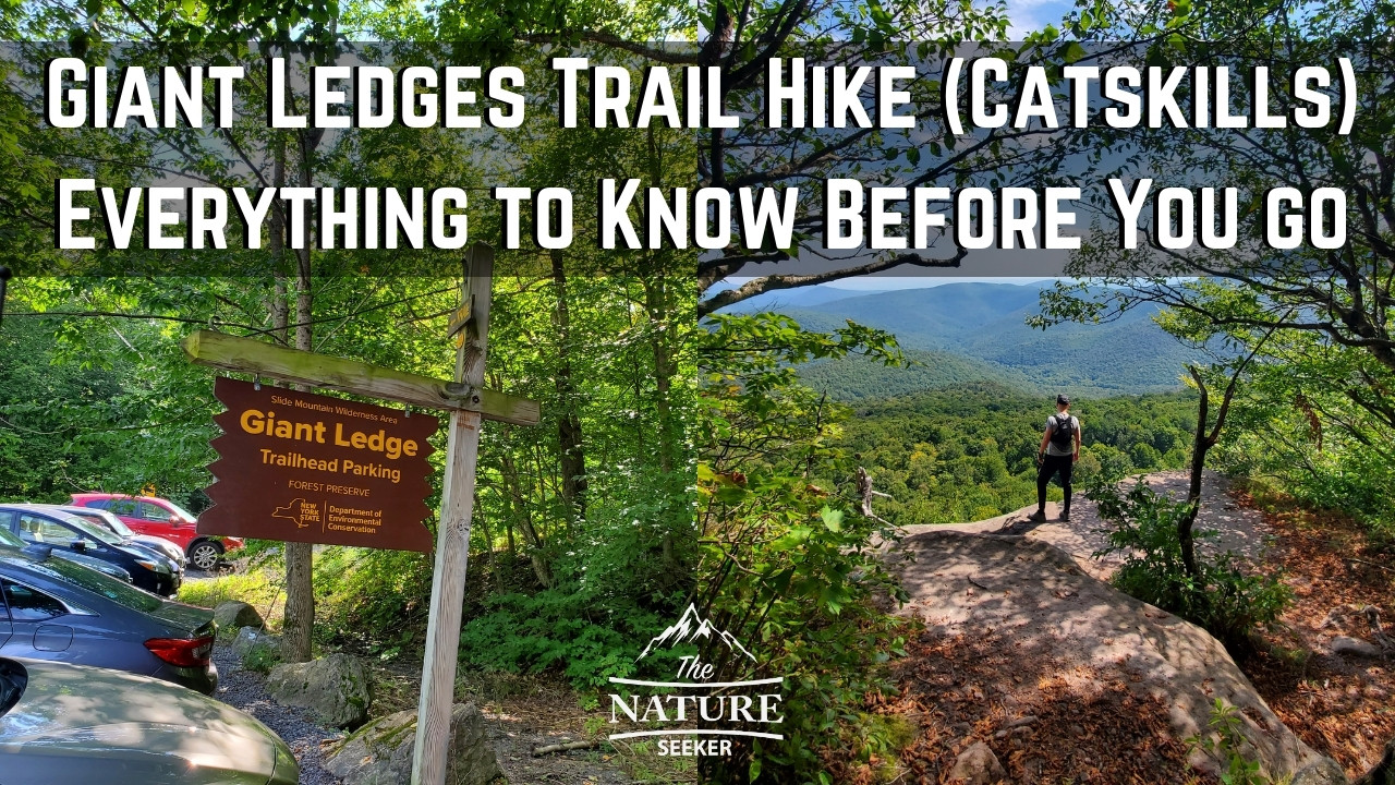 giant ledge hike catskills