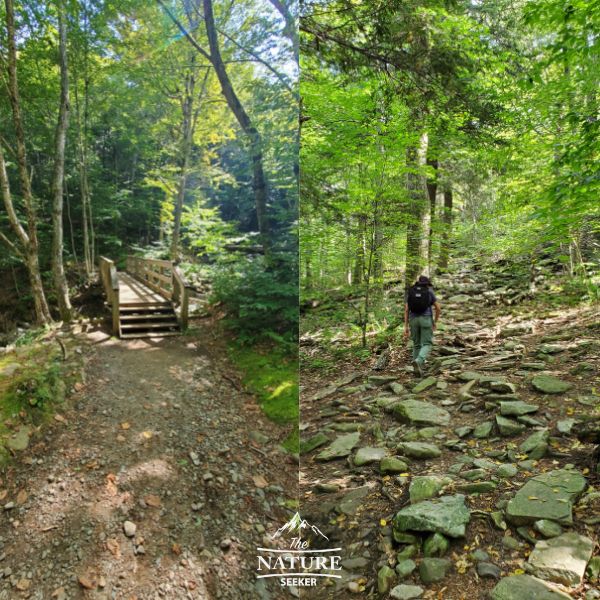 giant ledge trail hike up to overlook catskills