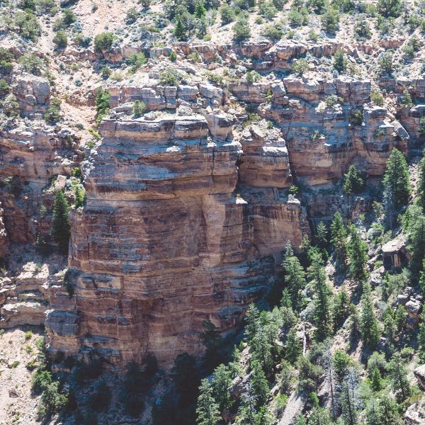 kaibab national forest near kanab new 02