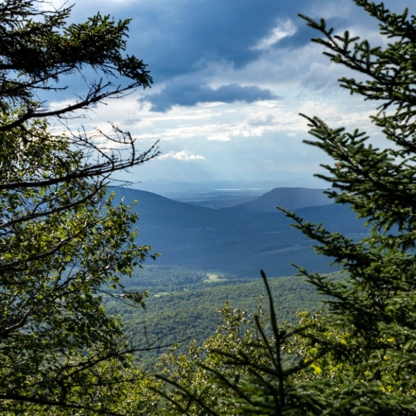 long trail view of the west area