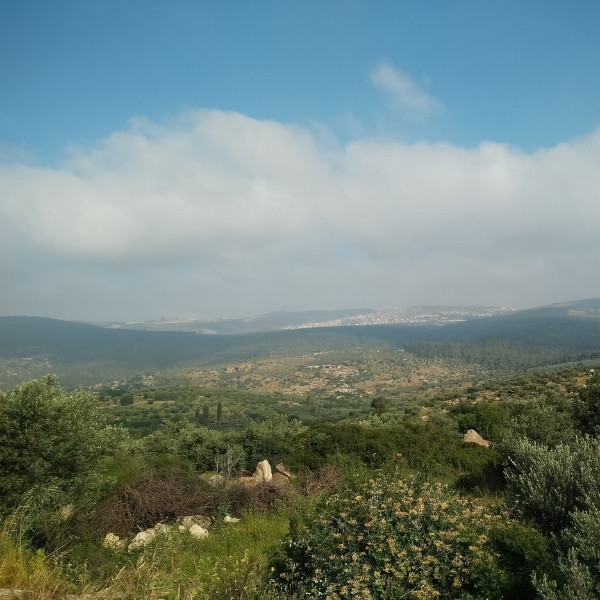 mount nebo overlook 02