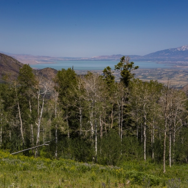 nebo loop scenic byway mountain