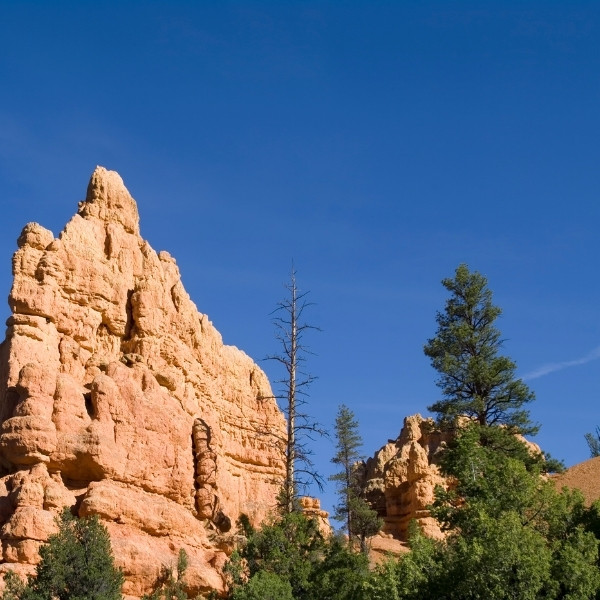 nebo loop scenic byway red rocks