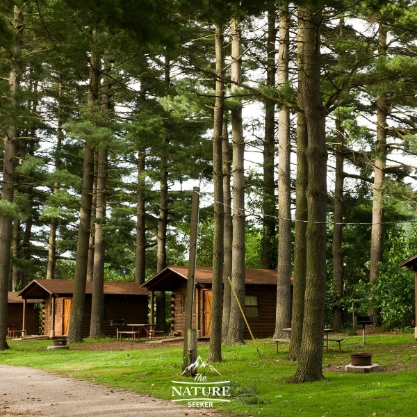 taconic state park cabin areas 02