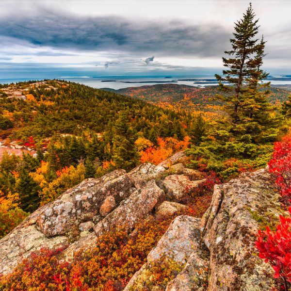 acadia national park best places for fall foliage new england