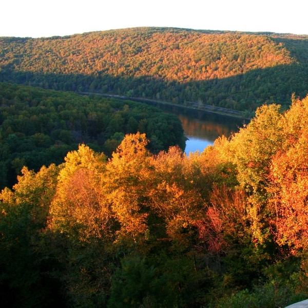 allegheny state park fall foliage 03