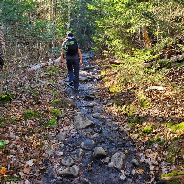 avalanche lake trail mud area 07