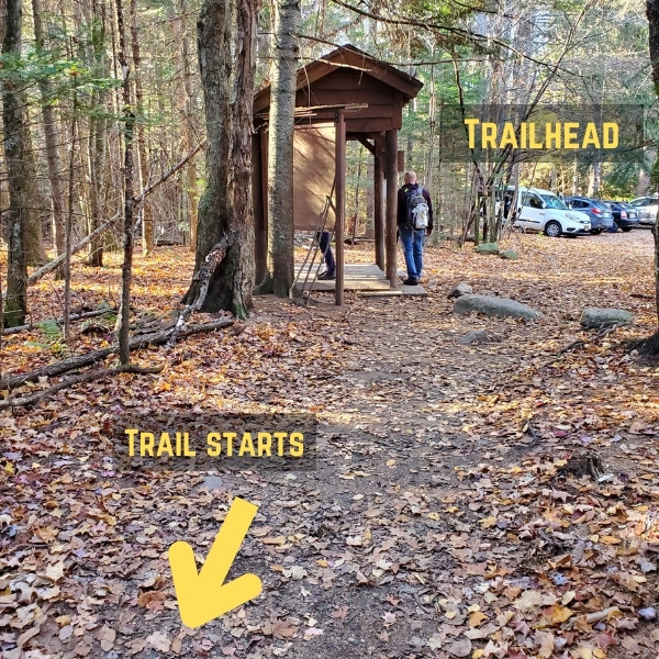 avalanche lake trailhead 01