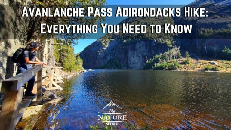 How to Hike The Avalanche Pass Trail in The Adirondacks