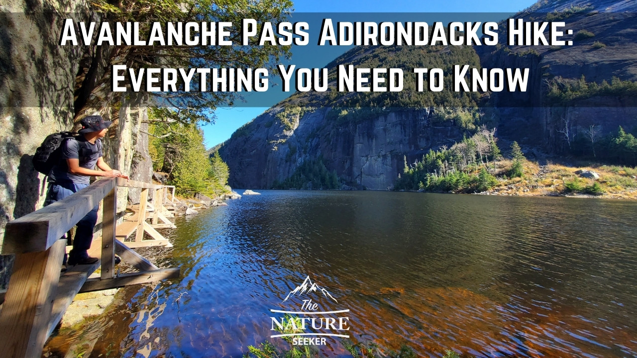 avalanche pass adirondacks