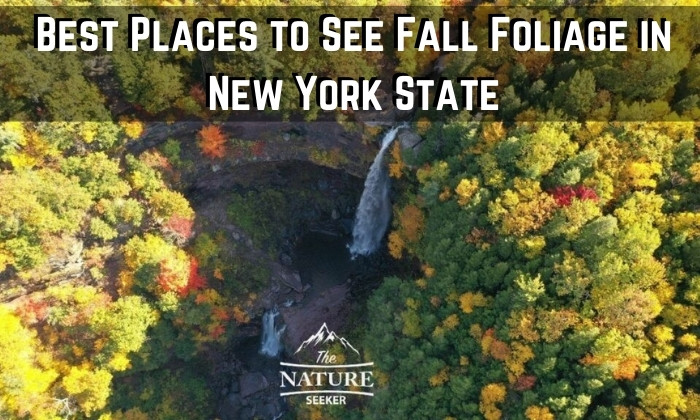 best fall foliage in new york
