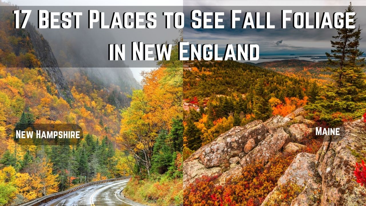 best places to see fall foliage in new england